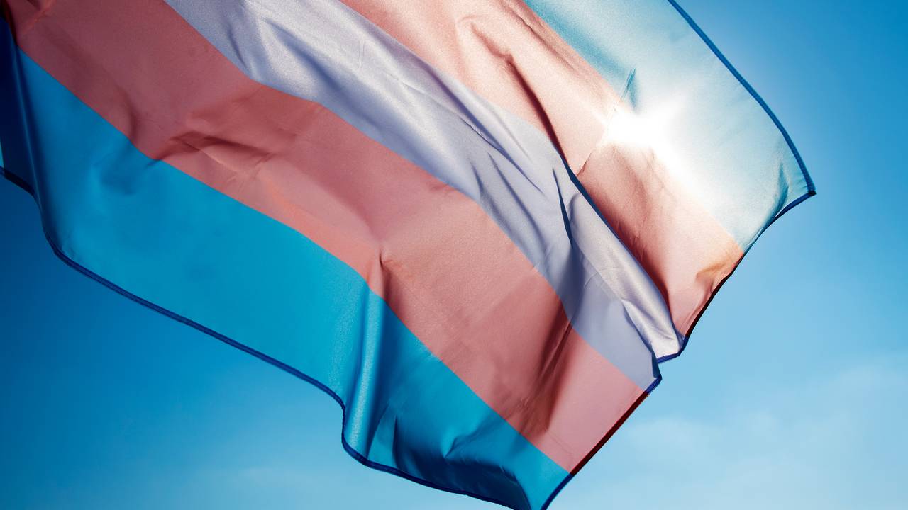 Bandeira trans