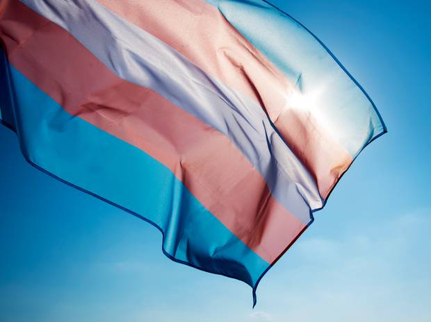 Bandeira trans