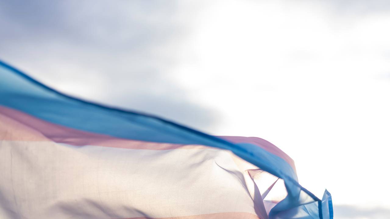 A trans flag flying in the sky