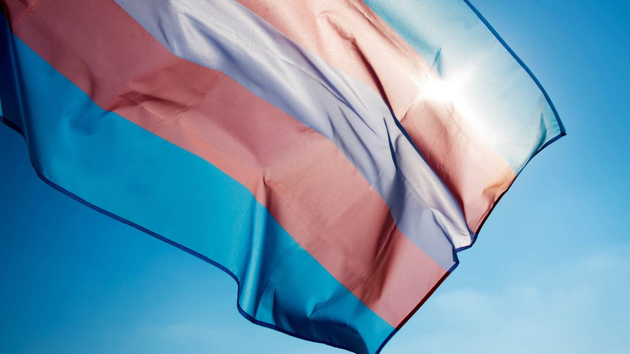 Trans flag
